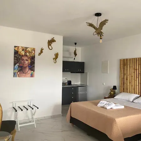 Mykonos Secret Spot 公寓 *