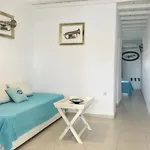 Mykonos Secret Spot Appartamento